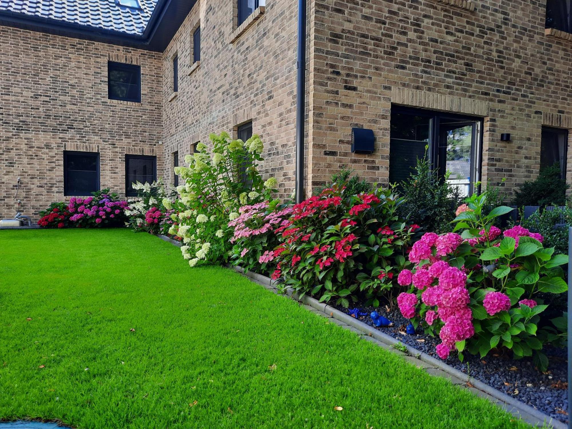 Neu! Ferienwohnung Amrum Taarstedt エクステリア 写真